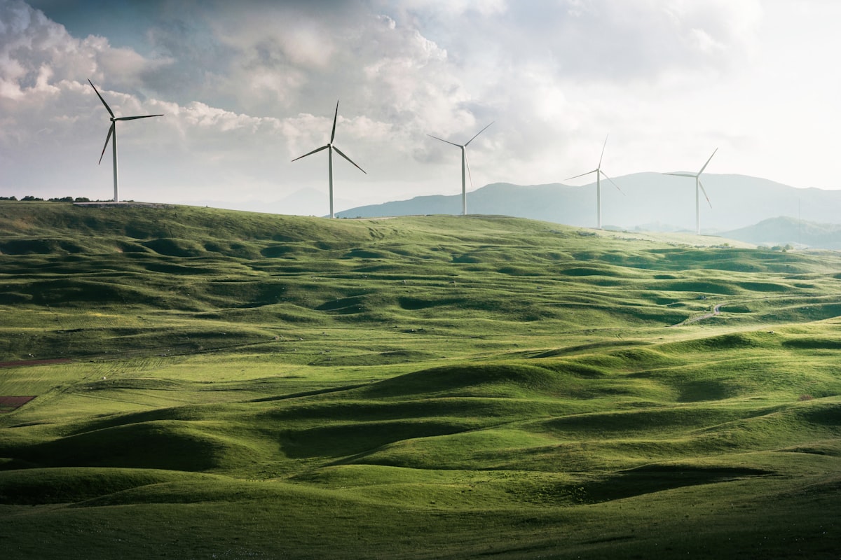 Wind turbines generating renewable energy in a green field